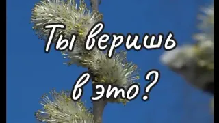 ТЫ ВЕРИШЬ В ЭТО?