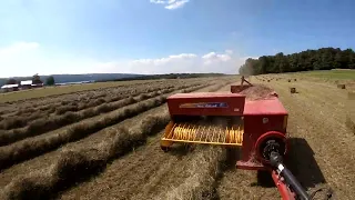 NEW HOLLAND BC5070 baler time-lapse in SUPER LONG HAY FIELD