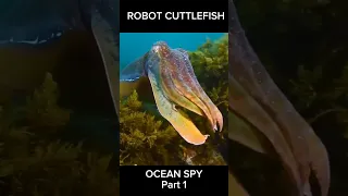 Robot Cuttlefish - Ocean Spy