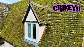 OUT OF CONTROL Moss Gets OBLITERATED.....Before The Growth GOBBLES UP This Roof!