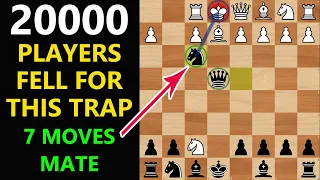 Chess Opening Tricks to Fool Your Opponent,Secret Strategy,Shilling Gambit Traps,Moves to Win Fast