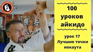 100 уроков айкидо с Игорем Дмитриевым.  Лучшие точки нокаута.  Точка ST 9