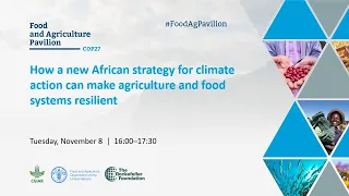 How a new African strategy for climate action can make agriculture and food systems resilient