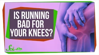 Is Running Really Bad for Your Knees?