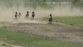 Скаковой день 12 июня. Дистанция 1600 м. Дрим Шот