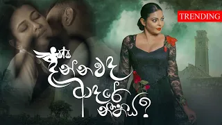 Dannawada Adare Neethiya | දන්නවද ආදරේ නීතිය | Abhisheka Wimalaweera | Official Music Video