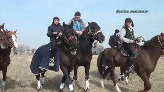 Мақтарал ауданы Егембердиевтер әулеті Нұрлан мырзаның елден бата алу той көкпары 13 02 2024