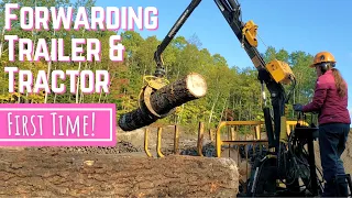 First time moving BIG LOGS with a tractor and forwarding trailer
