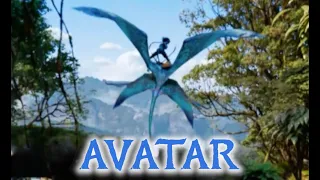 Avatar Flight of Passage: Full Ride (2018)