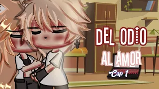 • Del odio al amor || Miniserie — Cap1 • Lov3rmind // especial 30 subs