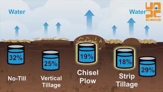 Порівняння вмісту вологи при Strip Tillage та No-Till