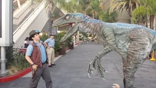 Raptor (4k) Jurassic park raptor encounter universal studios