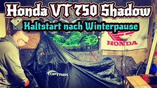 Honda VT 750 Shadow | Kaltstart ❄️