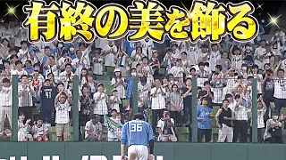 【有終の美】木村文紀『全力プレーに胸熱く…現役最終打席で2塁打！通算326本目の安打を放つ』