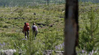 Future landscapes of Greater Yellowstone