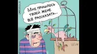 Анекдот про стюардессу и попугая.СМЕШНО до СЛЁЗ! Только для взрослых 18+