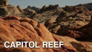 Capitol Reef National Park | Utah