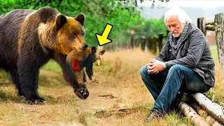 Crying Mama Bear Brings Her Injured Cub To A Man. Then Something Incredible Happens!