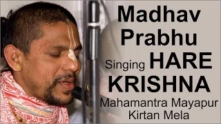 Madhav Prabhu singing Hare Krishna Mahamantra at Mayapur Kirtan Mela | ISKCON