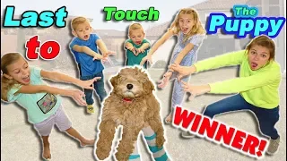 Last To Touch The CUTE PUPPY WINS!!