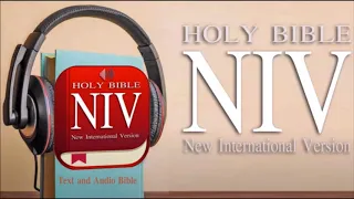 Audio Books NIV New International Version 1  - 43 john
