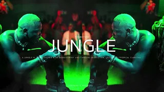 [FREE] Blxckie x Nasty C Type Beat - "JUNGLE" 2024 | Trap Type Instrumental | Freestyle Rap Beat