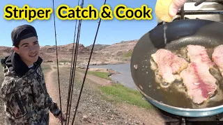 Shore Bangin Stripers CATCH and COOK at Lake Mead