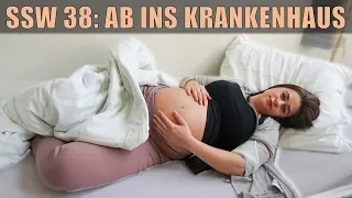 SSW 38: VERDACHT AUF SCHWANGERSCHAFTSVERGIFTUNG | AB INS KRANKENHAUS!