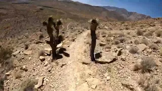 Singletrack Descent. "Flowjob" on a Giant Reign E+