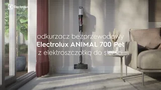 Jaki odkurzacz wybrać do domu ze zwierzętami? | Electrolux ANIMAL 700 Pet