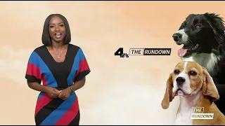 The Rundown: Tuesday August 9, 2022 | NBCLA