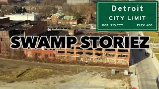 Detroit Swamp Story the Citys Divided 6 Mile V.s 7 Mile