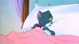 Tom and Jerry | The Million Dollar Cat 1944 | Clip 02