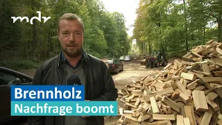 Brennholz: Nachfrageboom in der Börde | MDR SACHSEN-ANHALT HEUTE | MDR