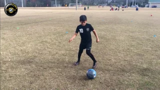 Georgia Storm Soccer Academy HD