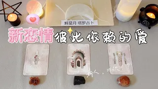 新恋情预测~彼此依赖的爱💞新人还是旧识？会是如何的相互取暖🧤塔罗占卜