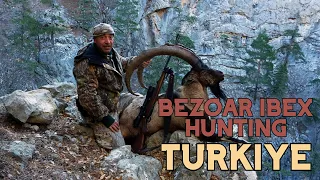 Bezoar Ibex Hunting in Turkiye #hunting