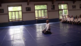 Aikido: Robert Nadeau O Sensei Revisited 2018 Intro Video