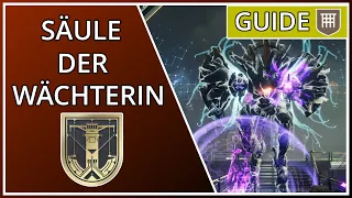 Kompletter Säule der Wächterin/Dungeon Guide Destiny 2 (GER/PS5)