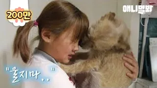 Dog Wiping Tears From A Girl Who Cries Because Of Him.. And A Year Later