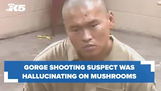 Gorge shooting suspect was hallucinating on mushrooms, documents say