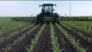 Organic Row Crop Farmer Cultivating Organic Corn With A 24 Row JD Cultivator!