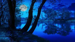 Soothing Celtic Fantasy Music - Night of the Elves | Peaceful, Magical, Relaxing ★44