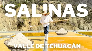 La Sal Artesanal del Valle de Tehuacán, Puebla.