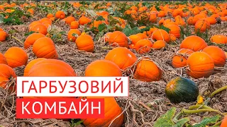 В Україні створено найменший гарбузовий комбайн у світі