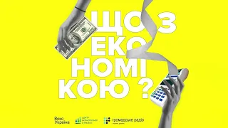 Ми втрачаємо мільярди доларів через неспроможний БЕБ. Анастасія Радіна