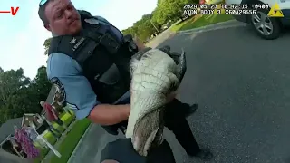 Watch Georgia Cops Capture an Alligator