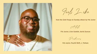 Pat Junior - Feels Like (Official Audio) ft. Liion Gamble & Aarik Duncan