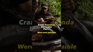 Crazy Anaconda Encounter In Amazon (Part II) #anaconda #joerogan #shorts