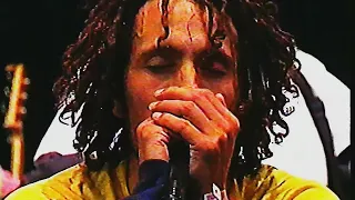 Rage Against The Machine - Killing In The Name live at 1996 Pinkpop Festival
